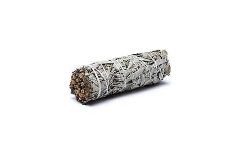 Salvija (kaltēta) white sage, 10cm