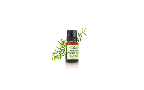 Tējas koka ēteriskā eļļa, 5ml (Saflora)