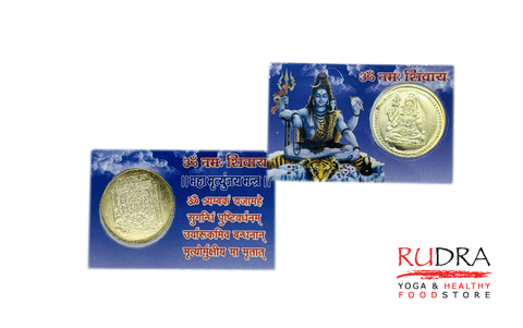 Shiva coin