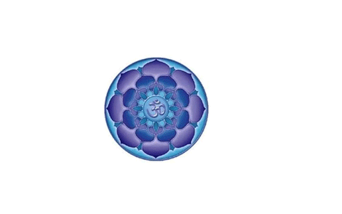 Flower of Life OM yantra sticker, double sided